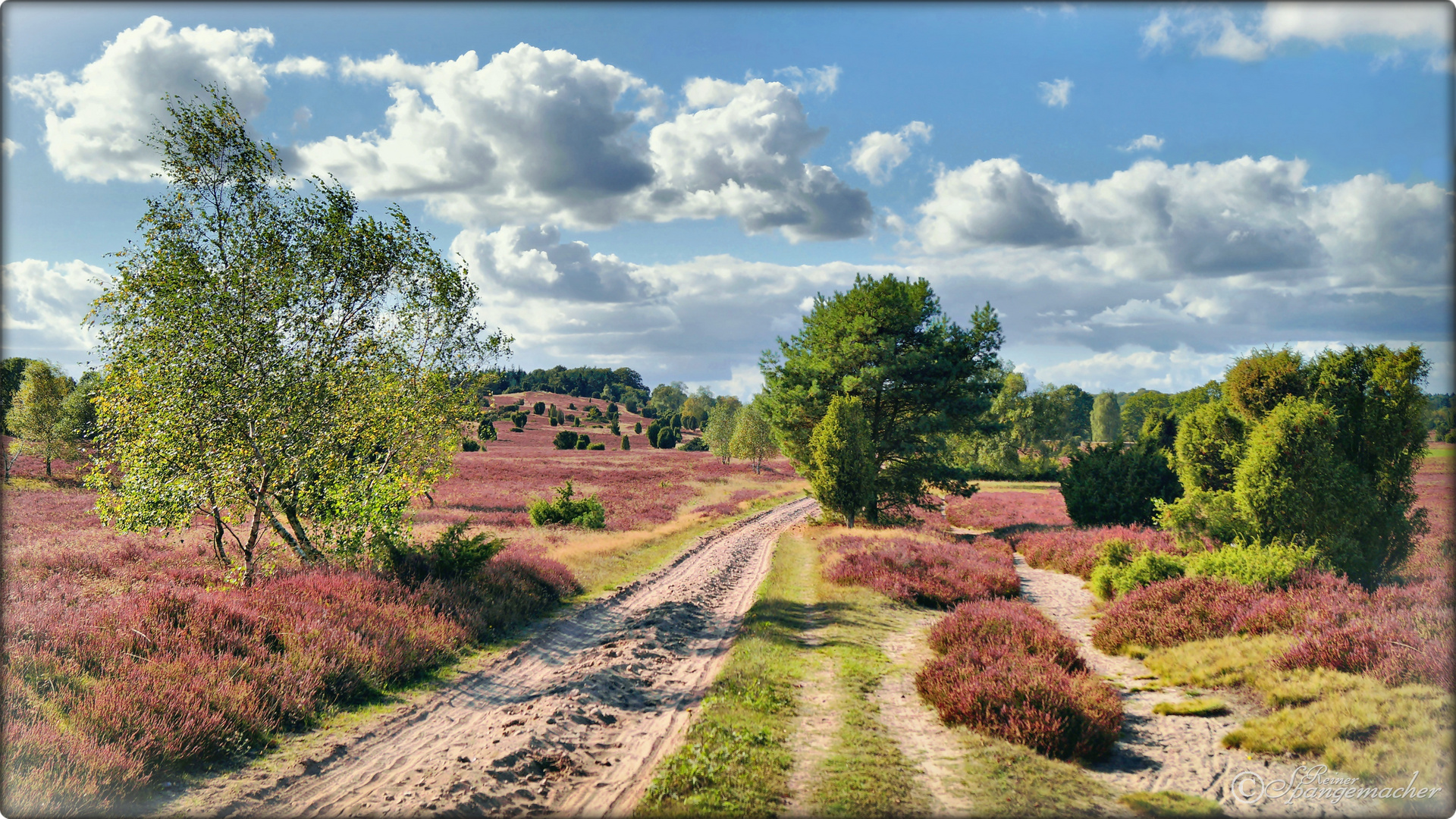 Blick zum Turmberg, Bockelmanns Heide