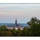 Blick zum Ulmer Münster
