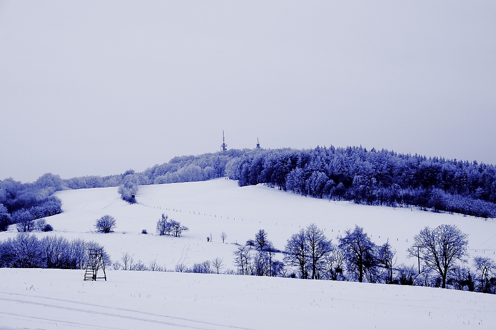 Blick zum Unger (538m ü.NN)