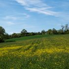 Blick zum Valentinushof