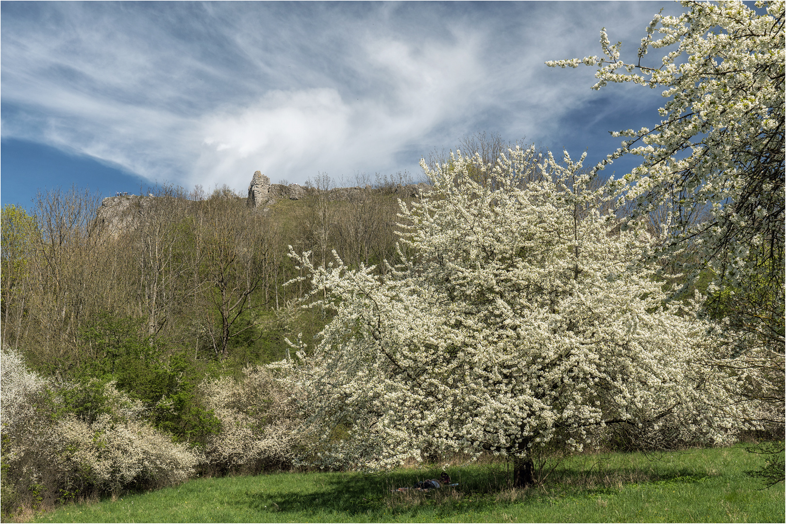 Blick zum Walberla