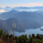 Blick zum Walchensee (2021_10_17_8675_ji)