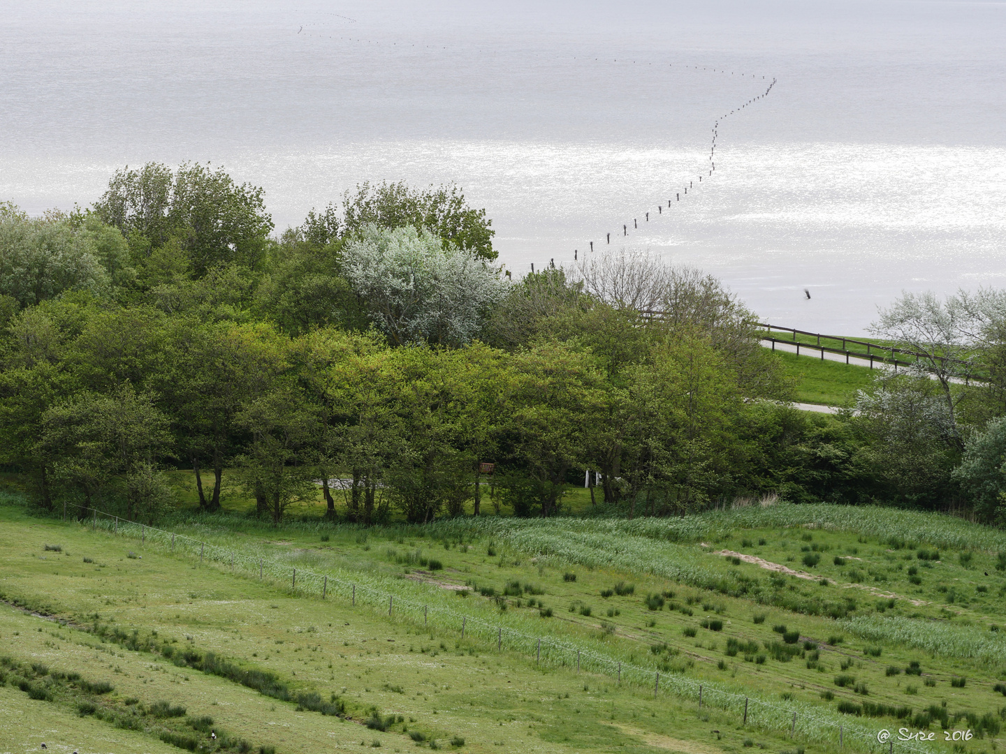 Blick zum Wattwanderweg