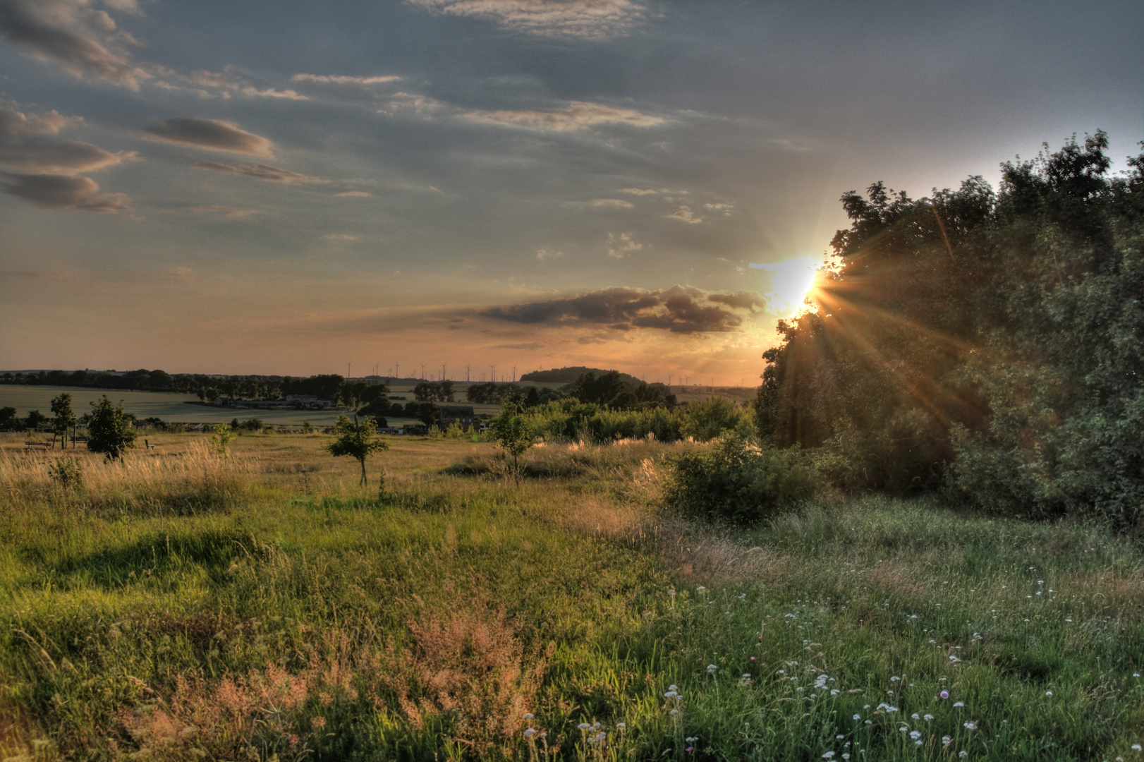 Blick zum Weinberg