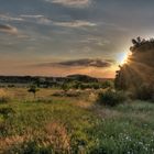 Blick zum Weinberg