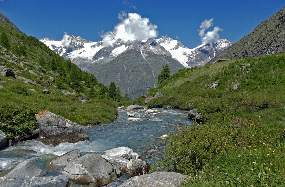 Blick zum Weisshorn  (4505 m)