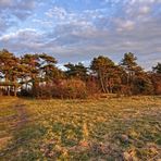 Blick zum Wernerwald