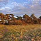 Blick zum Wernerwald