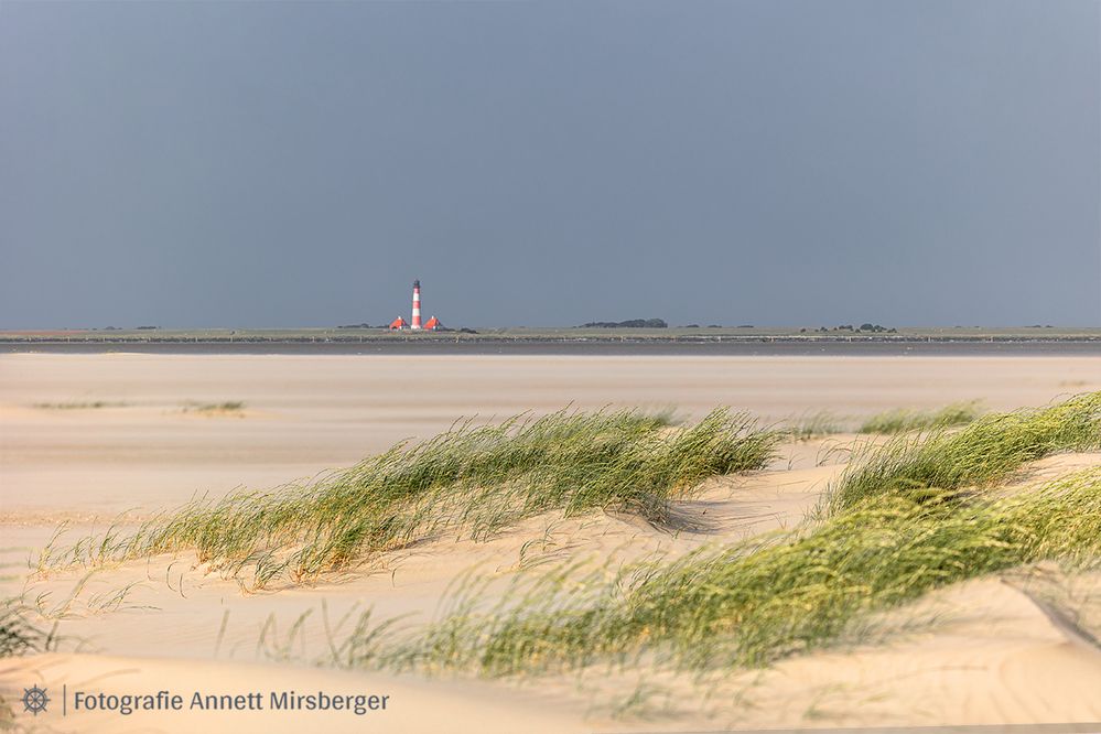 Blick zum Westerhever Leuchtturm