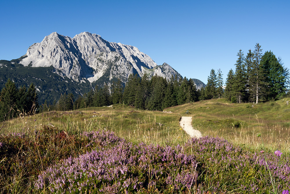 Blick zum Wetterstein