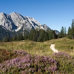 Blick zum Wetterstein