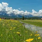 Blick zum Wetterstein