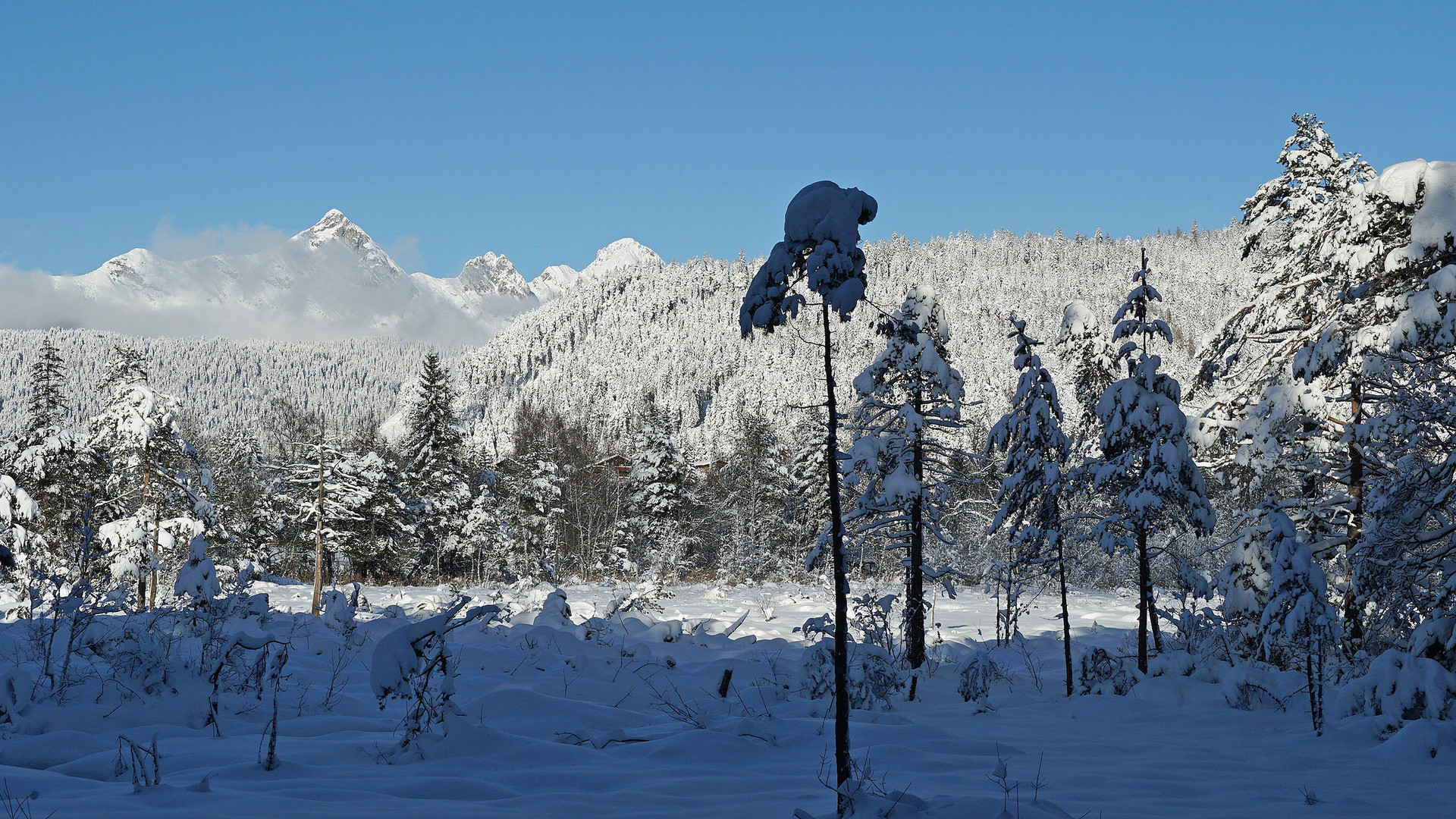 Blick zum Wettersteingebirge