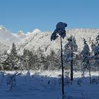 Blick zum Wettersteingebirge