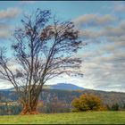 Blick zum Wurmberg (Harz)