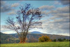 Blick zum Wurmberg (Harz)