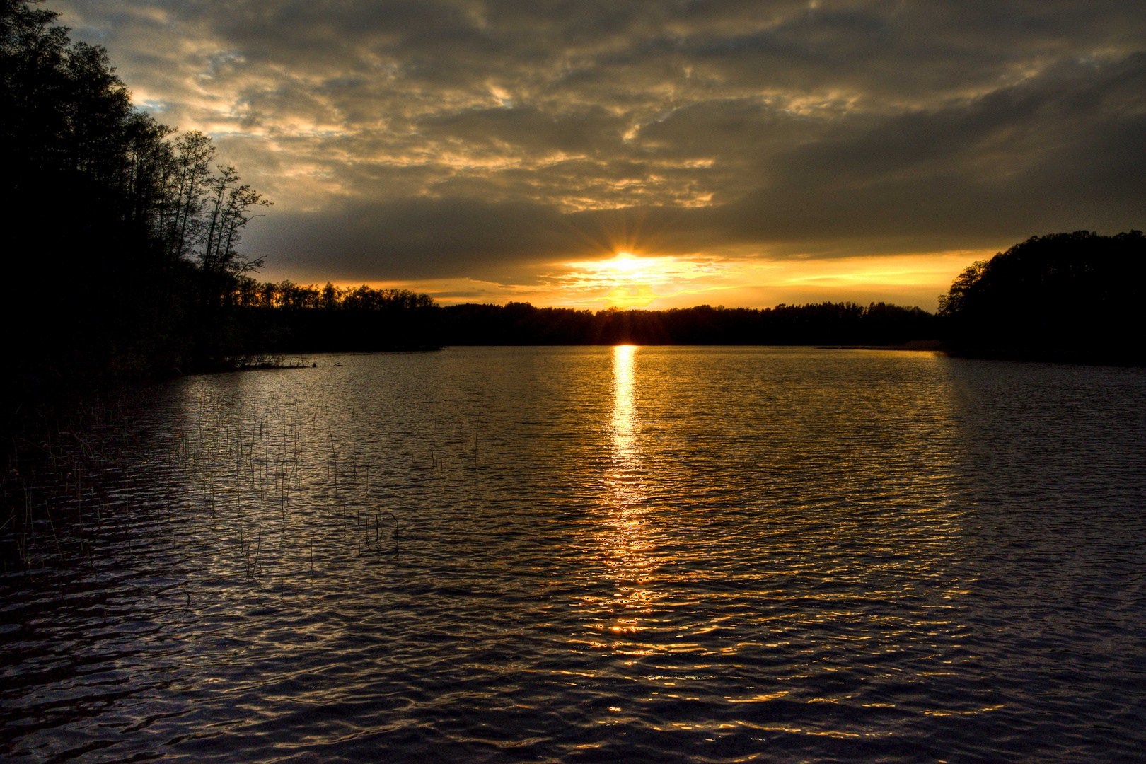 Blick zum Zethner See Mai 2010