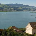 Blick zum Zürichsee