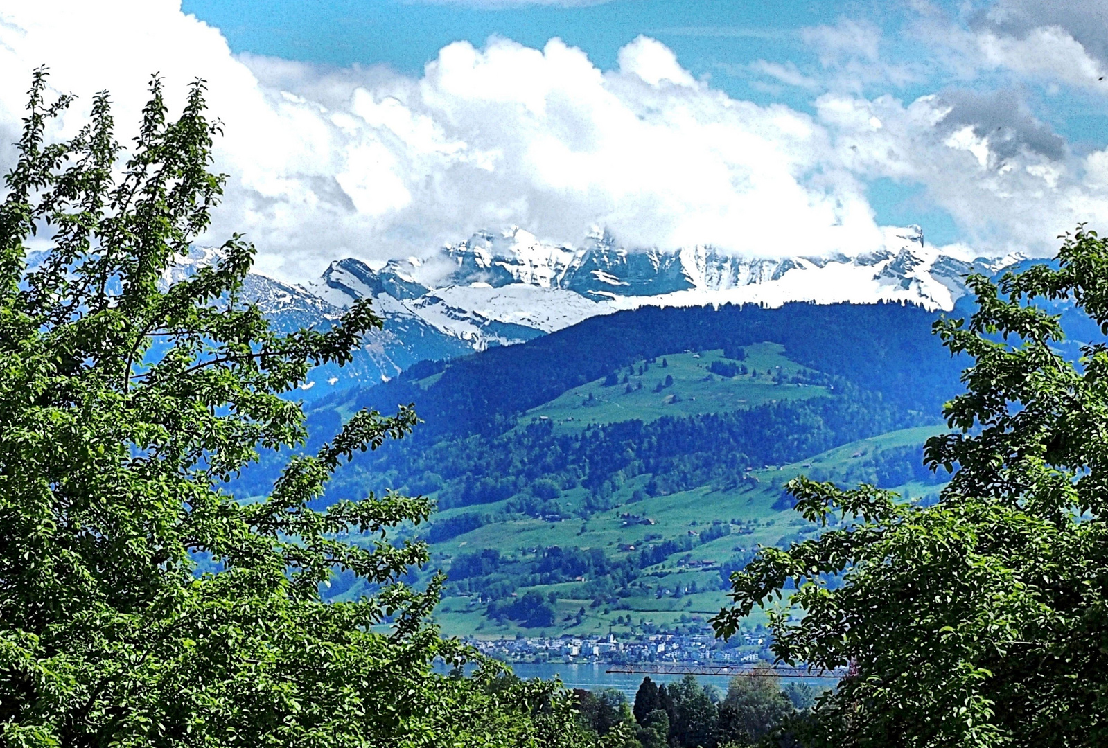 Blick zum Zürichsee