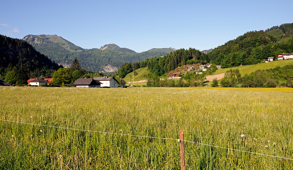 Blick zum Zwölferhorn