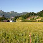 Blick zum Zwölferhorn