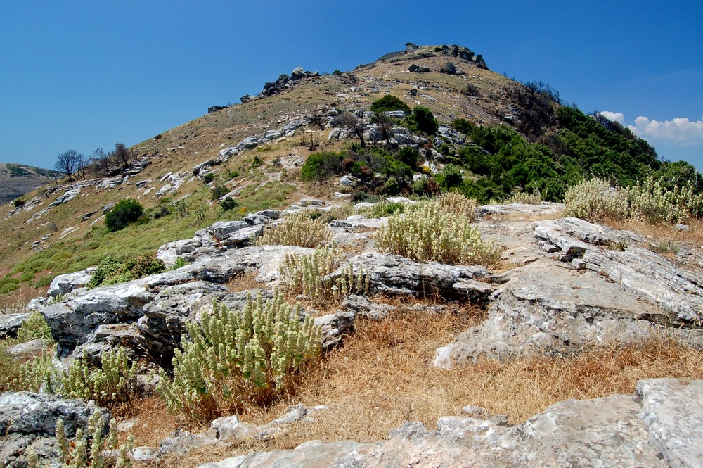 Blick zur Akropolis