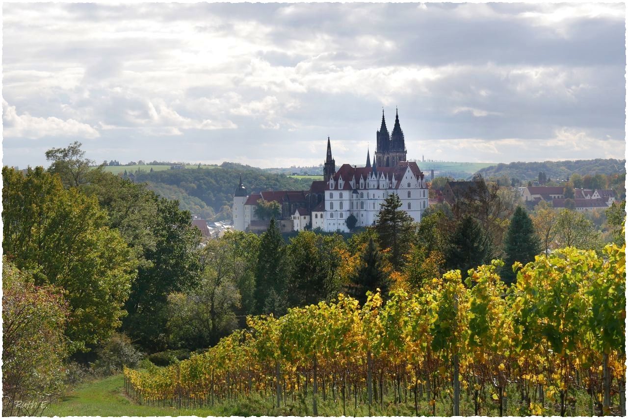 Blick zur Albrechtsburg...