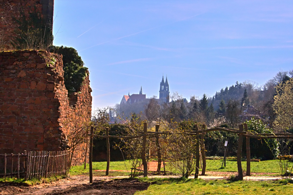 Blick zur Albrechtsburg und Dom Meißen