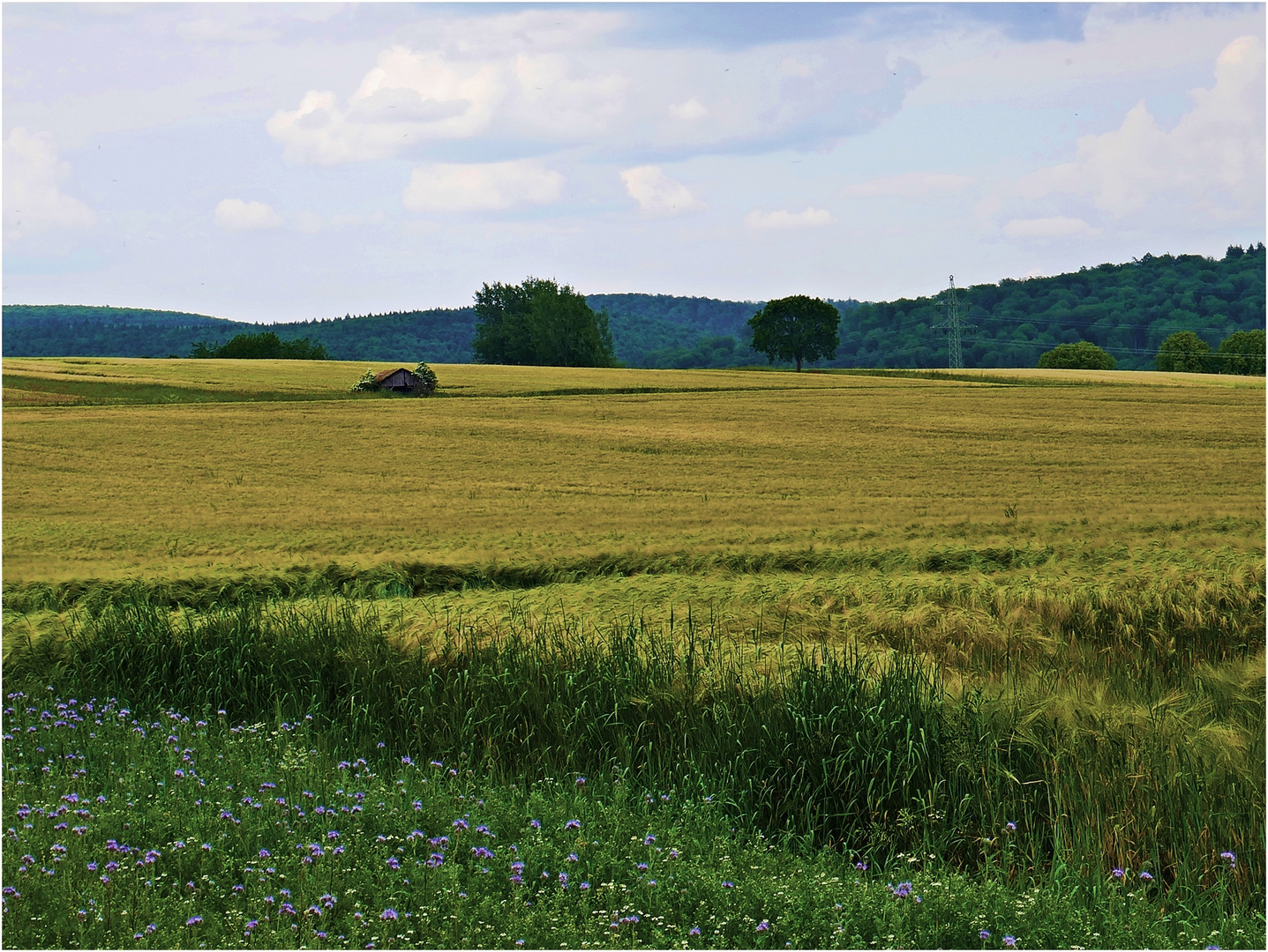 Blick zur alten Hütte