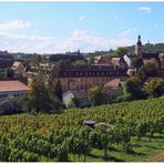 Blick zur Altenburg