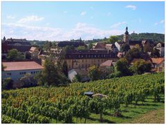 Blick zur Altenburg