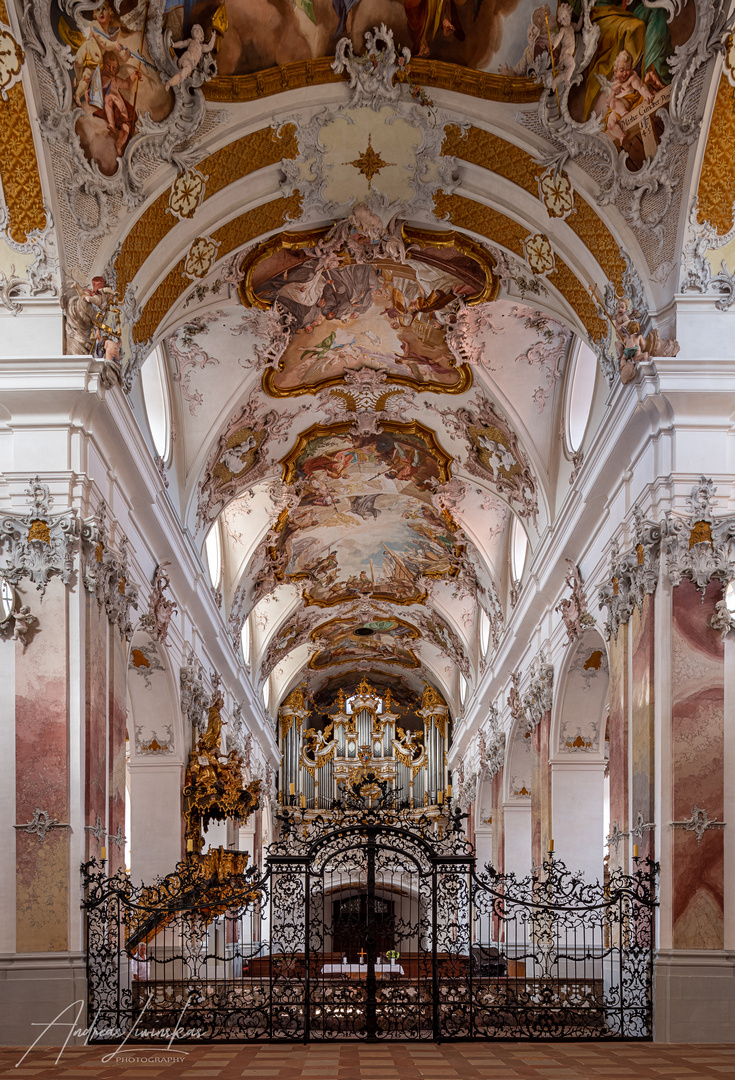 Blick zur Amorbacher Barock-Orgel