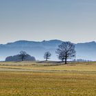 Blick zur Angerbreite - Degerndorf