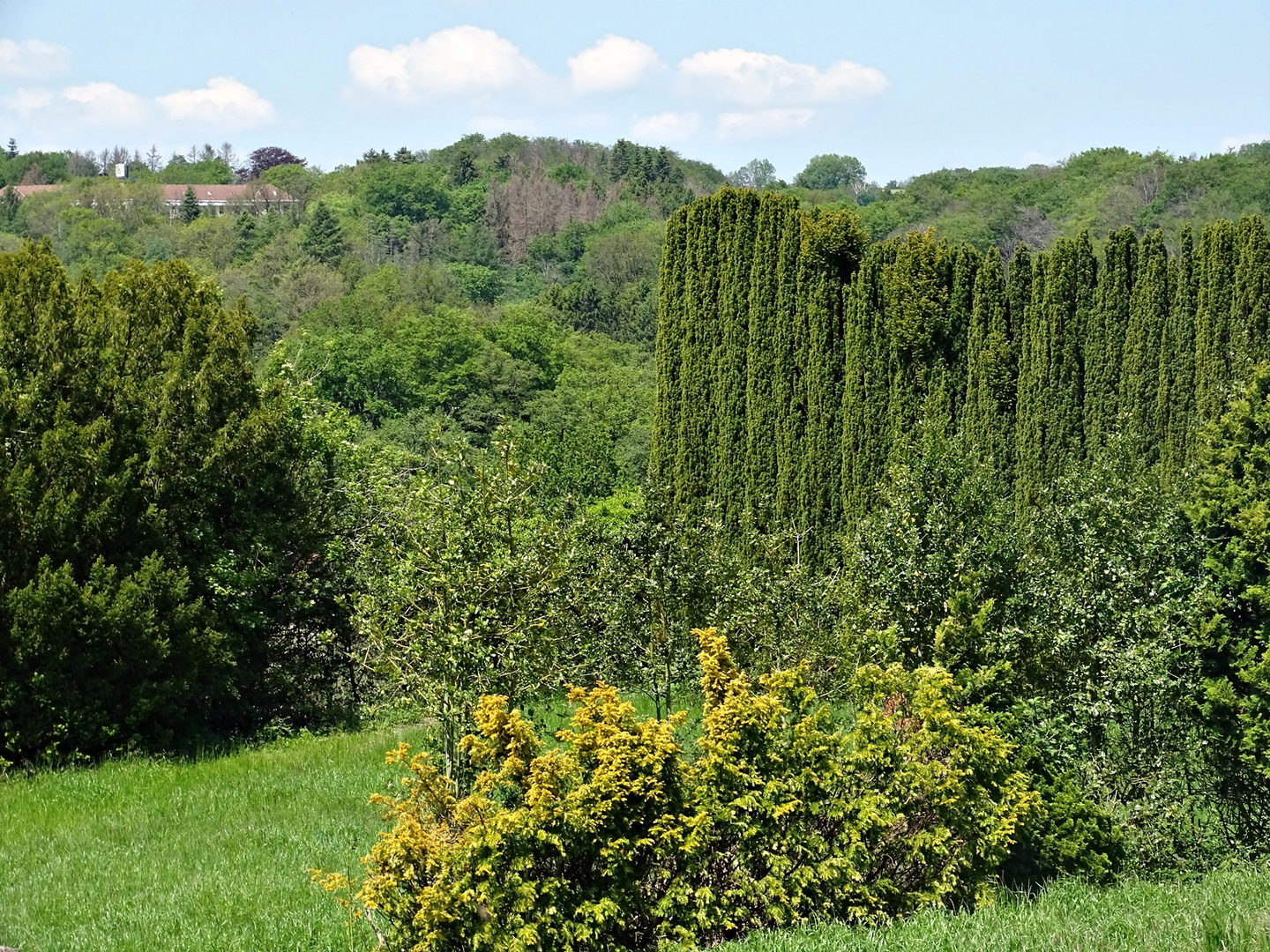 Blick zur Bergischen Diakonie