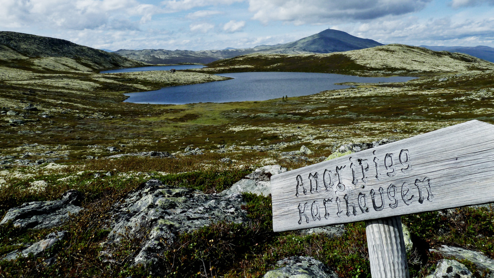 Blick zur Blåhö