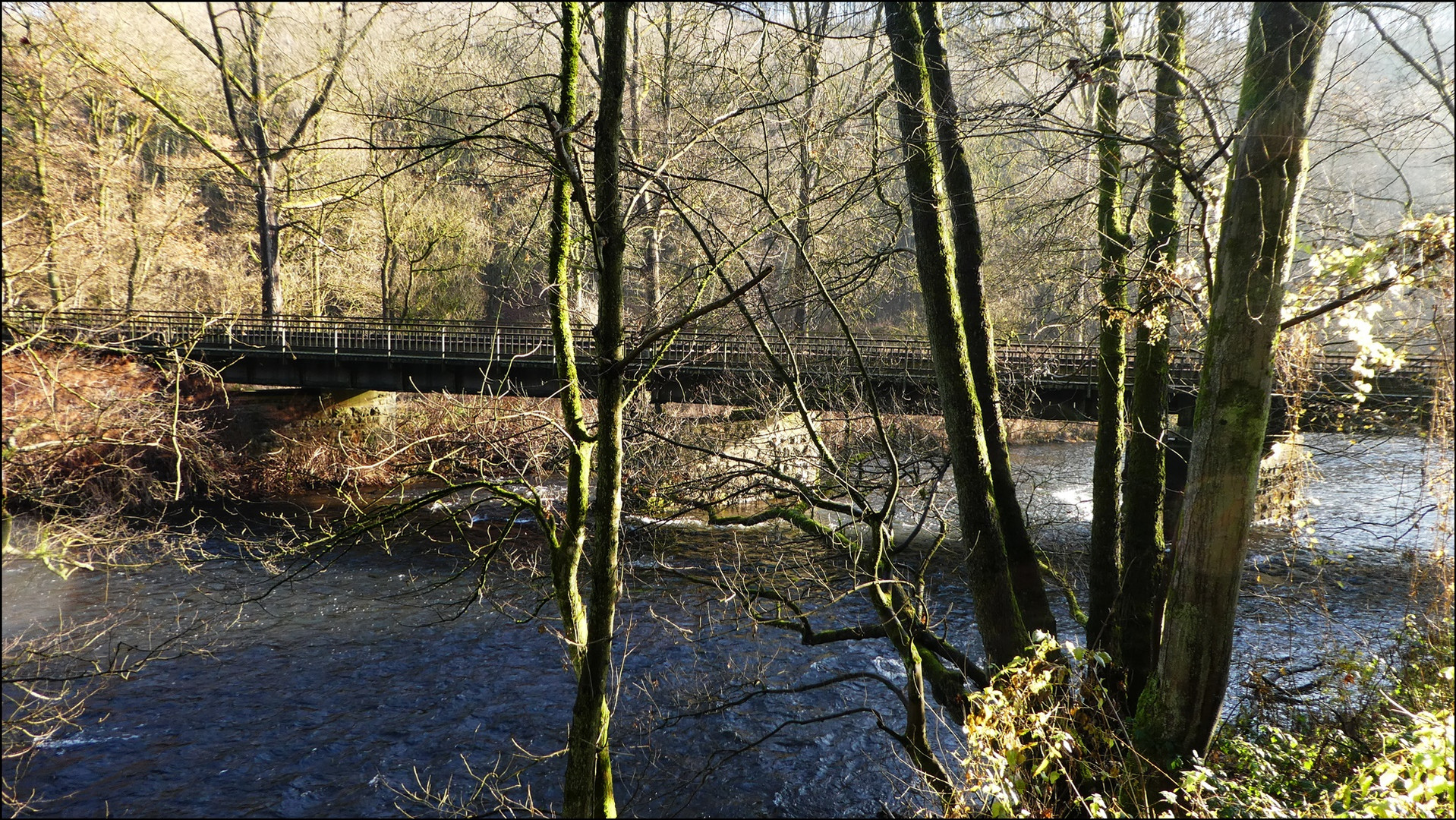 Blick zur Brücke ...