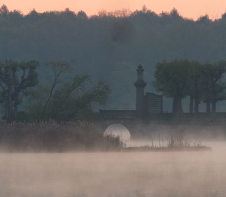 Steinlaus - Fotos & Bilder - Fotograf | fotocommunity