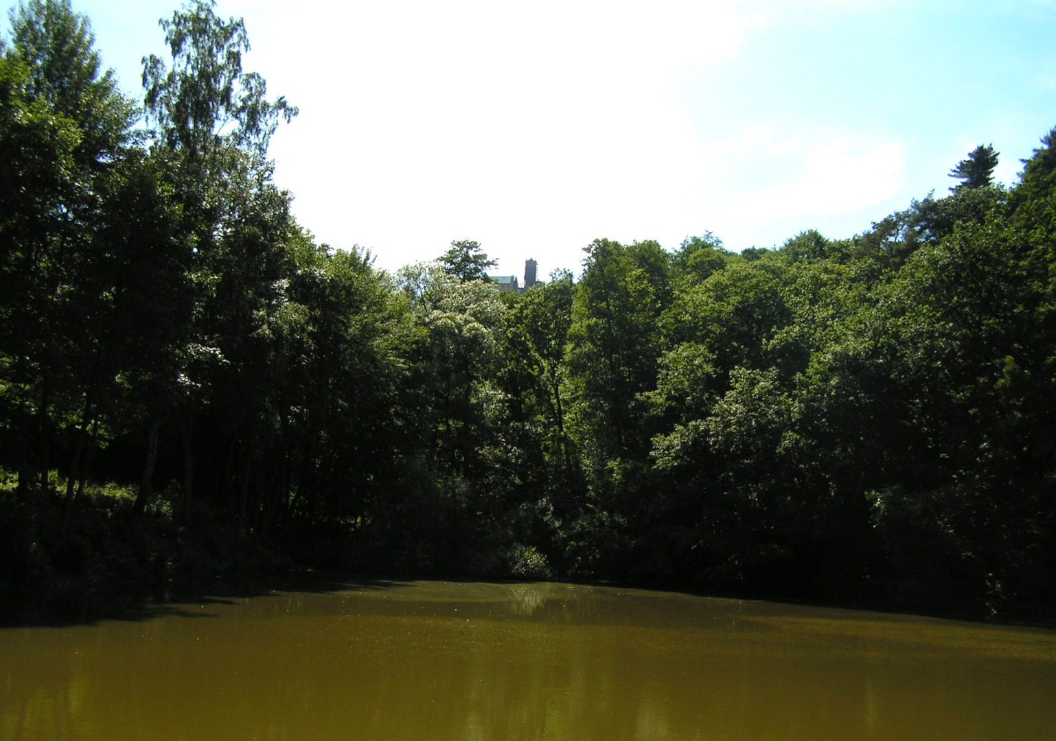 Blick zur Burg