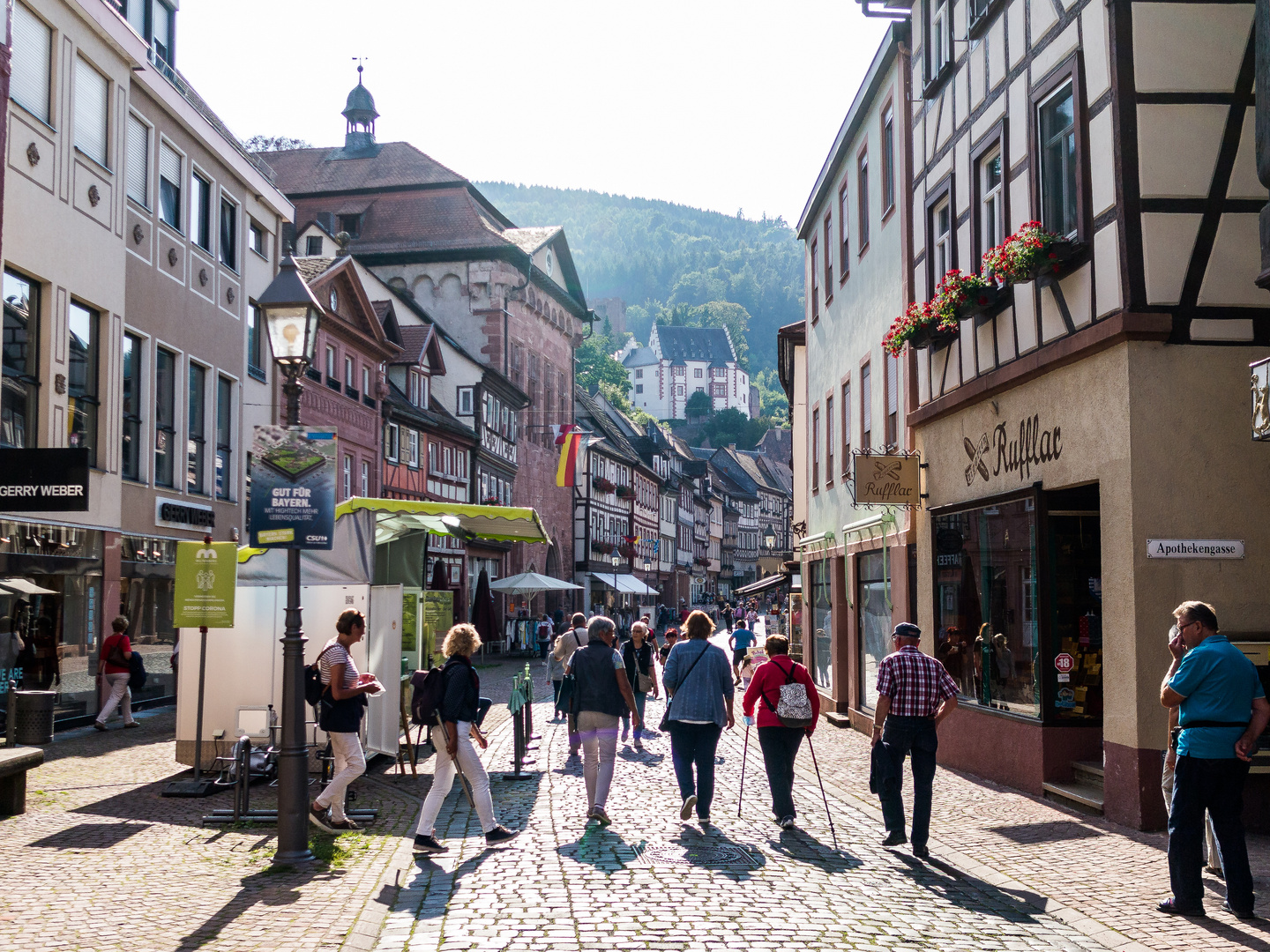 Blick zur Burg