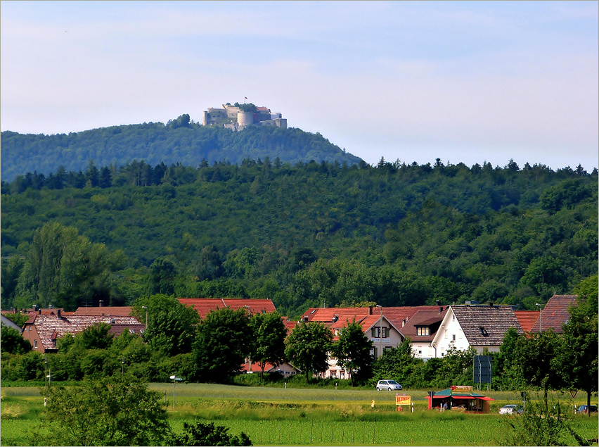 Blick zur Burg Hohenneuffen