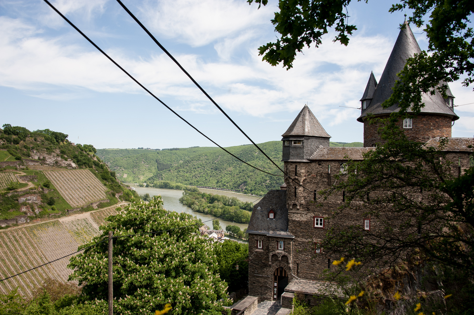 Blick zur Burg Stahleck 1