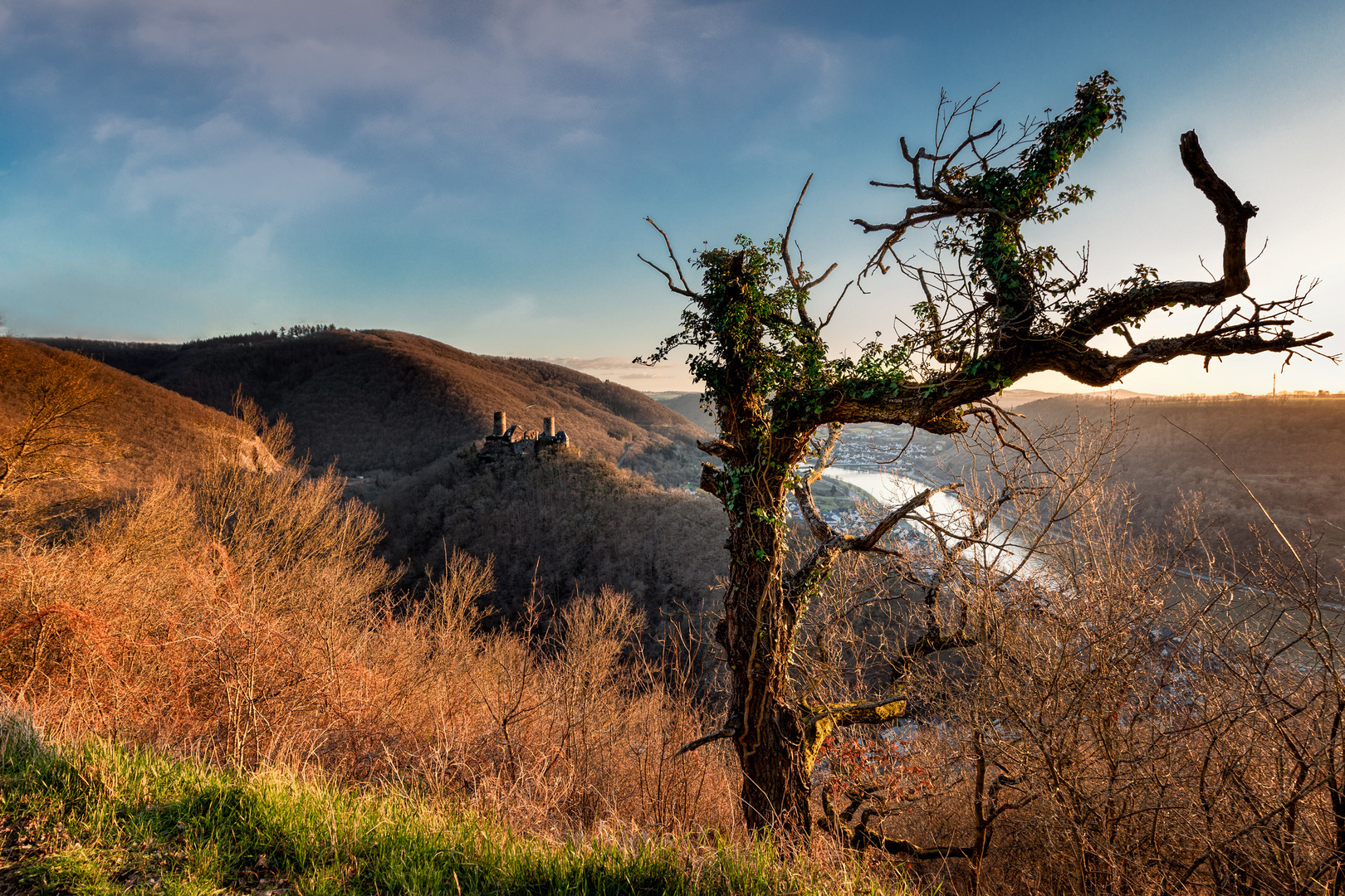 Blick zur Burg Thurant