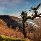 Blick zur Burg Thurant