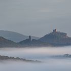 Blick zur Burg Trifels