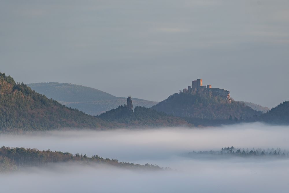 Blick zur Burg Trifels