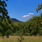 Blick zur Burg Trifels