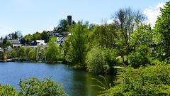 Blick zur Burgruine Bad Lobenstein