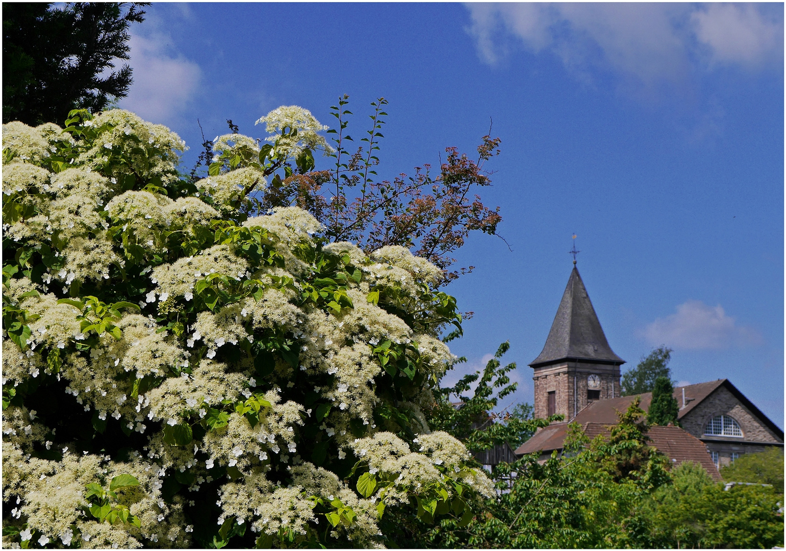 Blick zur Dorfkirche