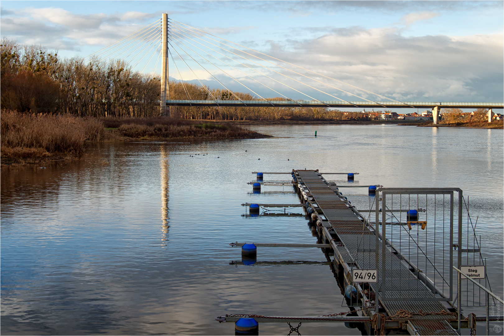 Blick zur Elbauenbrücke