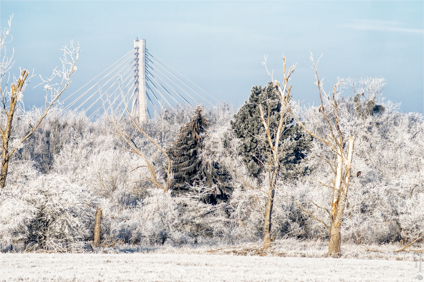 Blick zur Elbauenbrücke